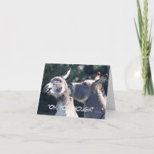 Graciosa tarjeta del Día del Padre con burros