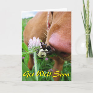 Graciosa tarjeta "Get Well Soon"