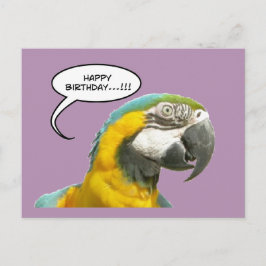 Graciosa tarjeta postal de cumpleaños de loro parl
