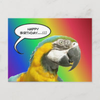 Graciosa tarjeta postal del cumpleaños del loro ar