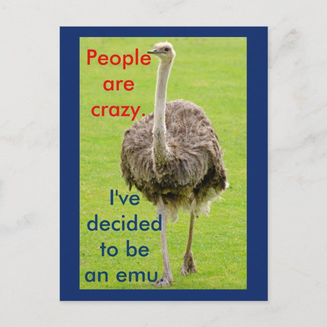 Graciosa tarjeta postal Emu (Anverso)