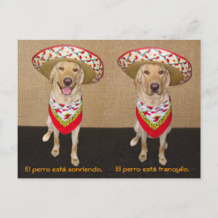 Graciosa tarjeta postal española Mascota y ayuda p