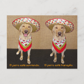 Graciosa tarjeta postal española Mascota y ayuda p