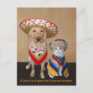 Graciosa tarjeta postal española Mascota y ayuda p