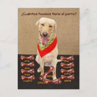 Graciosa tarjeta postal española Mascota y ayuda p