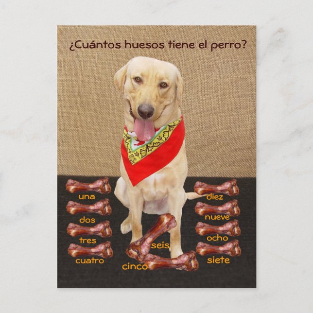Graciosa tarjeta postal española Mascota y ayuda p (Anverso)