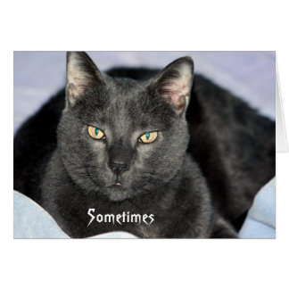 Graciosa tarjeta Shake My Head