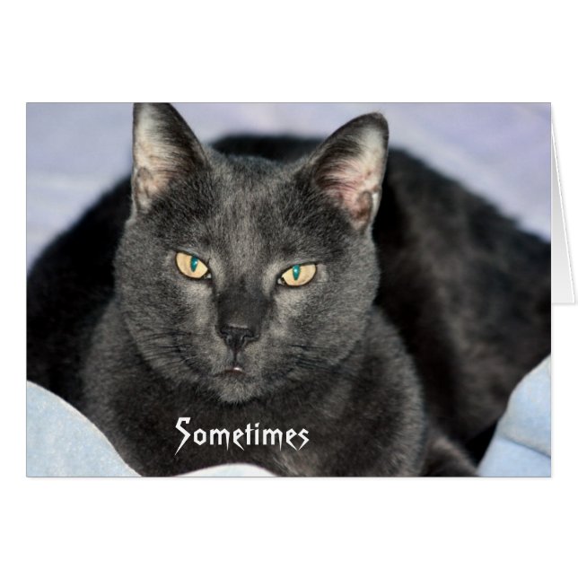 Graciosa tarjeta Shake My Head (Anverso (Horizontal))