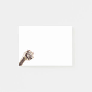 Graciosas notas pegajosas con alegre avestruz jugu