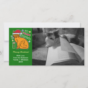 Graciosas tarjetas de Mascota felino de Navidades
