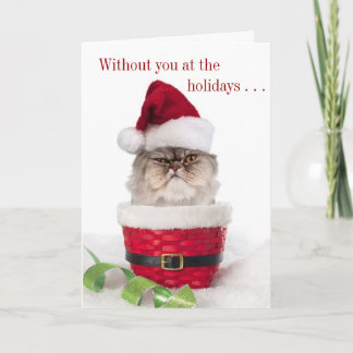 Graciosas tarjetas de Navidades para gatos