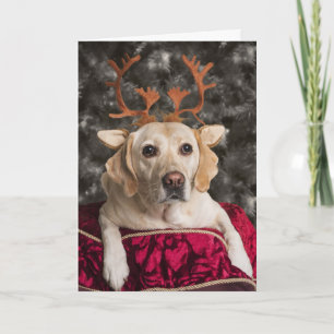 Graciosas tarjetas Yellow Lab Navidades
