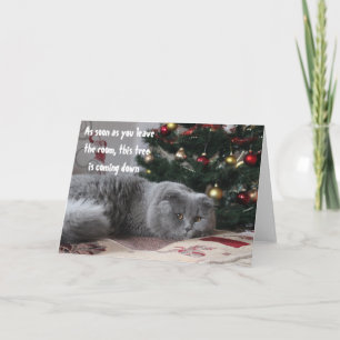 Gracioso Árbol de Navidad Gato Furioso Saludo