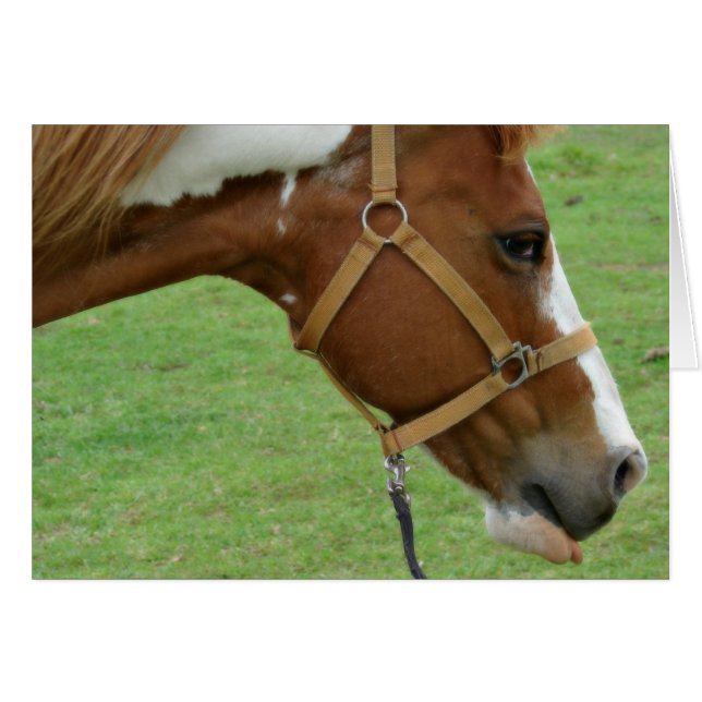 Gracioso Caballo Flashy (Anverso (Horizontal))