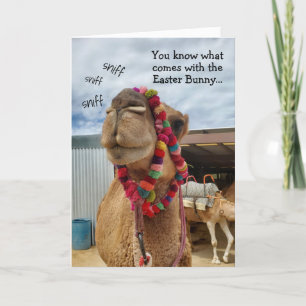 Gracioso Camel Espera La Tarjeta Bunny Easter