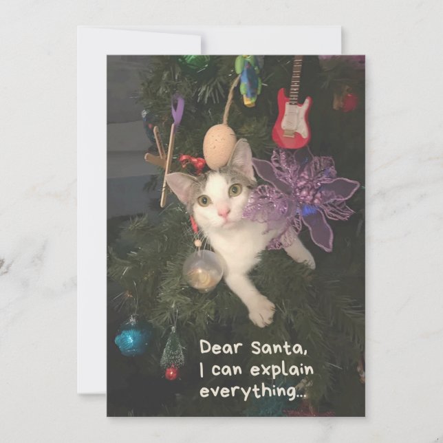 Gracioso Cat Santa I Puede Explicar Todo Navidad (Anverso)