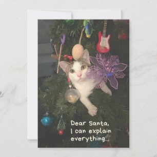 Gracioso Cat Santa I Puede Explicar Todo Navidad