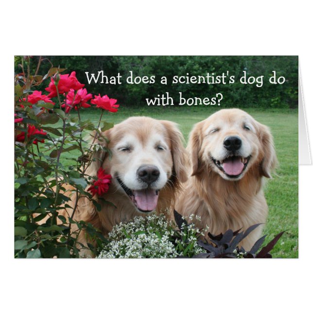 Gracioso Chiste Científico Bario de Golden Retriev (Anverso (Horizontal))