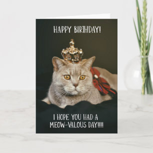 Gracioso gato con tarjeta de felicitación de cumpl