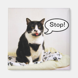 Gracioso gato de Tuxedo "¡Alto!" Imán