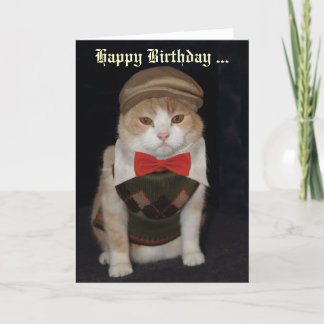Gracioso gato en la tarjeta de Personalizable de d