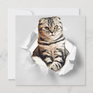Gracioso Gato Gris recorriendo la ilusión de papel
