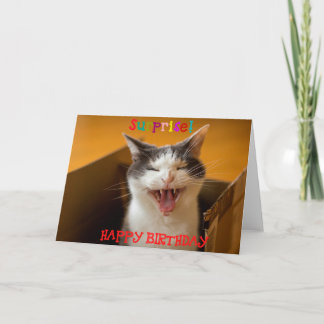 Gracioso gato lindo en una tarjeta de felicitación