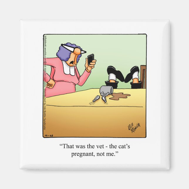 Gracioso imán de humor gatito preñado (Frente)