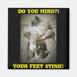 Gracioso imán frigorífico de gatos