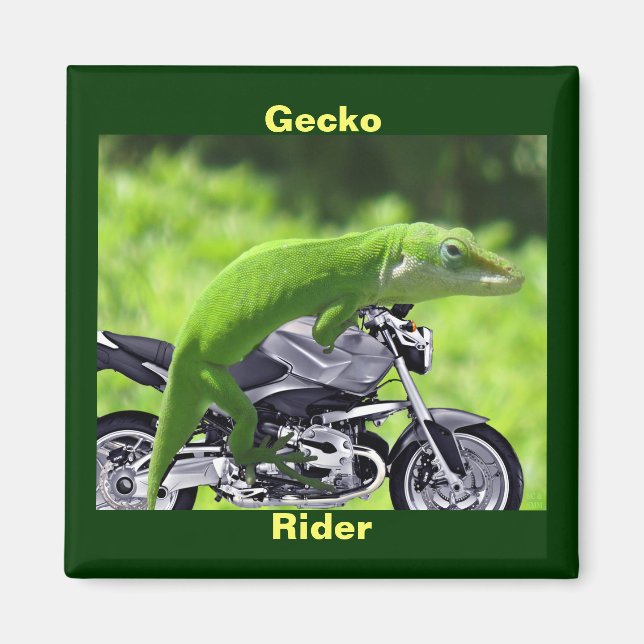 Gracioso imán verde hawaiano Gecko Rider (Frente)