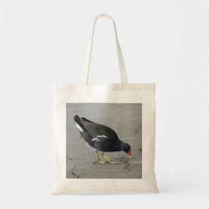 Gracioso Moorhen se toma la bolsa de un bocado