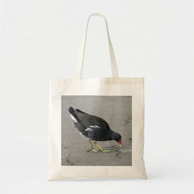 Gracioso Moorhen se toma la bolsa de un bocado (Frente)