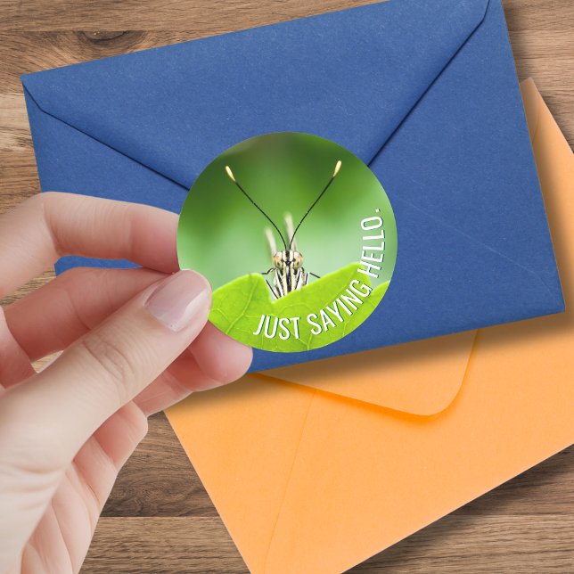 Gracioso Pegatina de mariposa animal de ocasión (A cute grasshopper goes with just about any occasion when you might send a card to a friend. )
