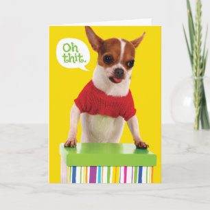 Gracioso perro de Chihuahu con tarjeta de cumpleañ