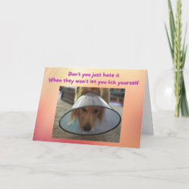 Gracioso ponte bien perro con tarjeta en Cone