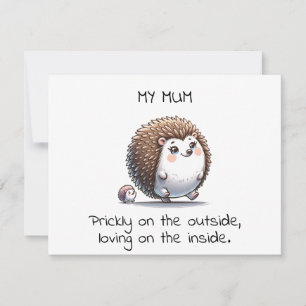 Gracioso regalo del Día de la Madre de Hedgehog Pu