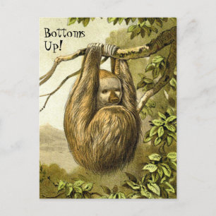 Gracioso Sloth con la postal "Bottoms Up"