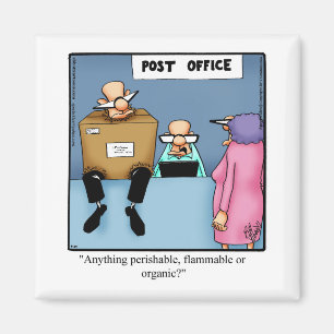 Graciosos imanes humorísticos