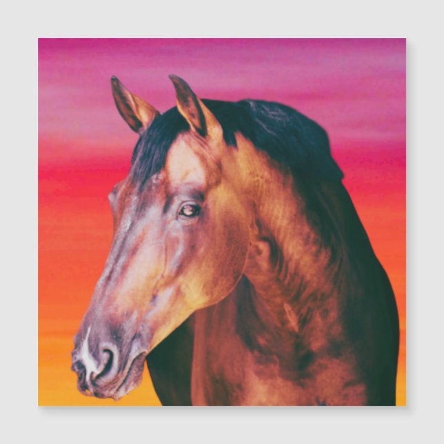 Gradiente de caballos de la bahía (Anverso)