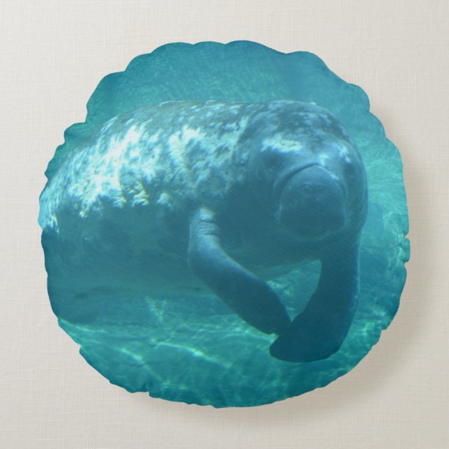 Grado de encargo un Cojín decorativo redondo del (Anverso)