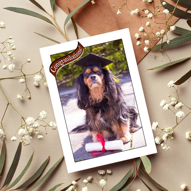 Graduación De La Tarjeta De Perro De La Escuela Ve (Subido por el creador)