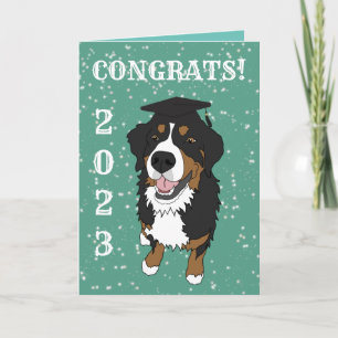 Graduación de la tarjeta de perro de montaña de Be