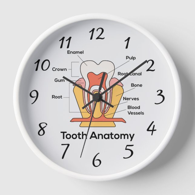 Gráfica de anatomía dental reloj de pared grande (Anverso)