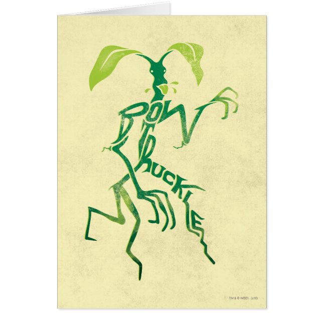 Gráfico de tipografía BOWTRUCKLE™ PICKETT™ (Frente)