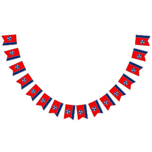 Gráfico dinámico de la bandera del estado de