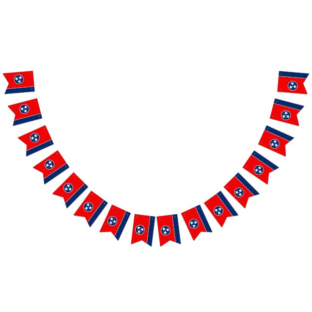 Gráfico dinámico de la bandera del estado de (Todo)