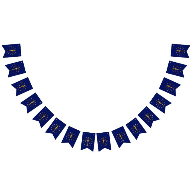 Gráfico dinámico de la bandera del estado de India (Todo)