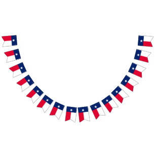 Gráfico dinámico de la bandera del estado de Tej