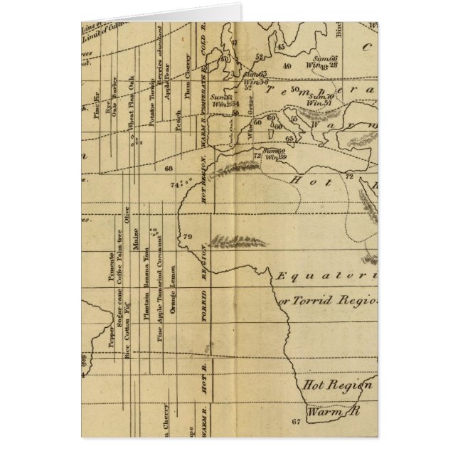 Gráfico isotérmico (Frente)