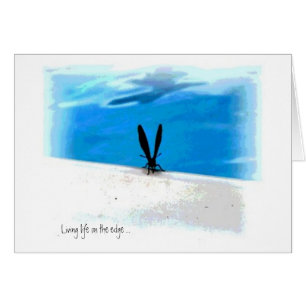 Gráficos Sillouette de mariposa